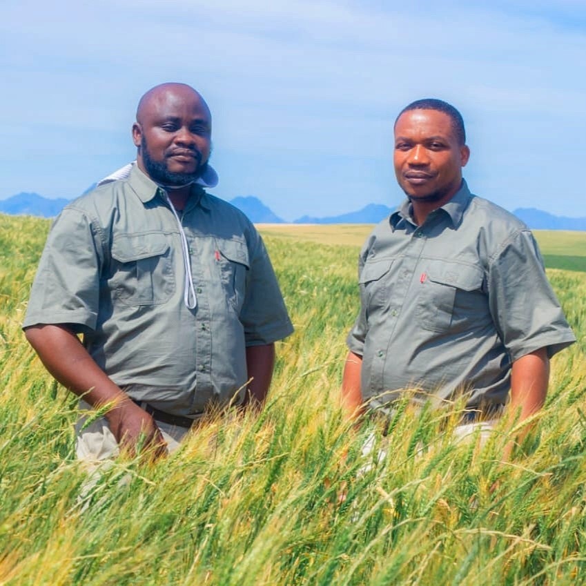 High-grade compost and organic fertiliser being applied to fields