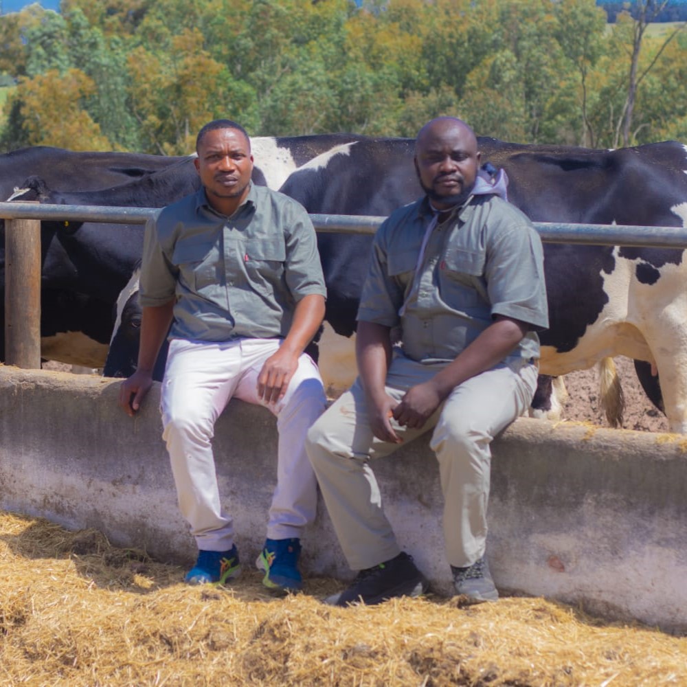 Advisor working with farmers on regenerative practices