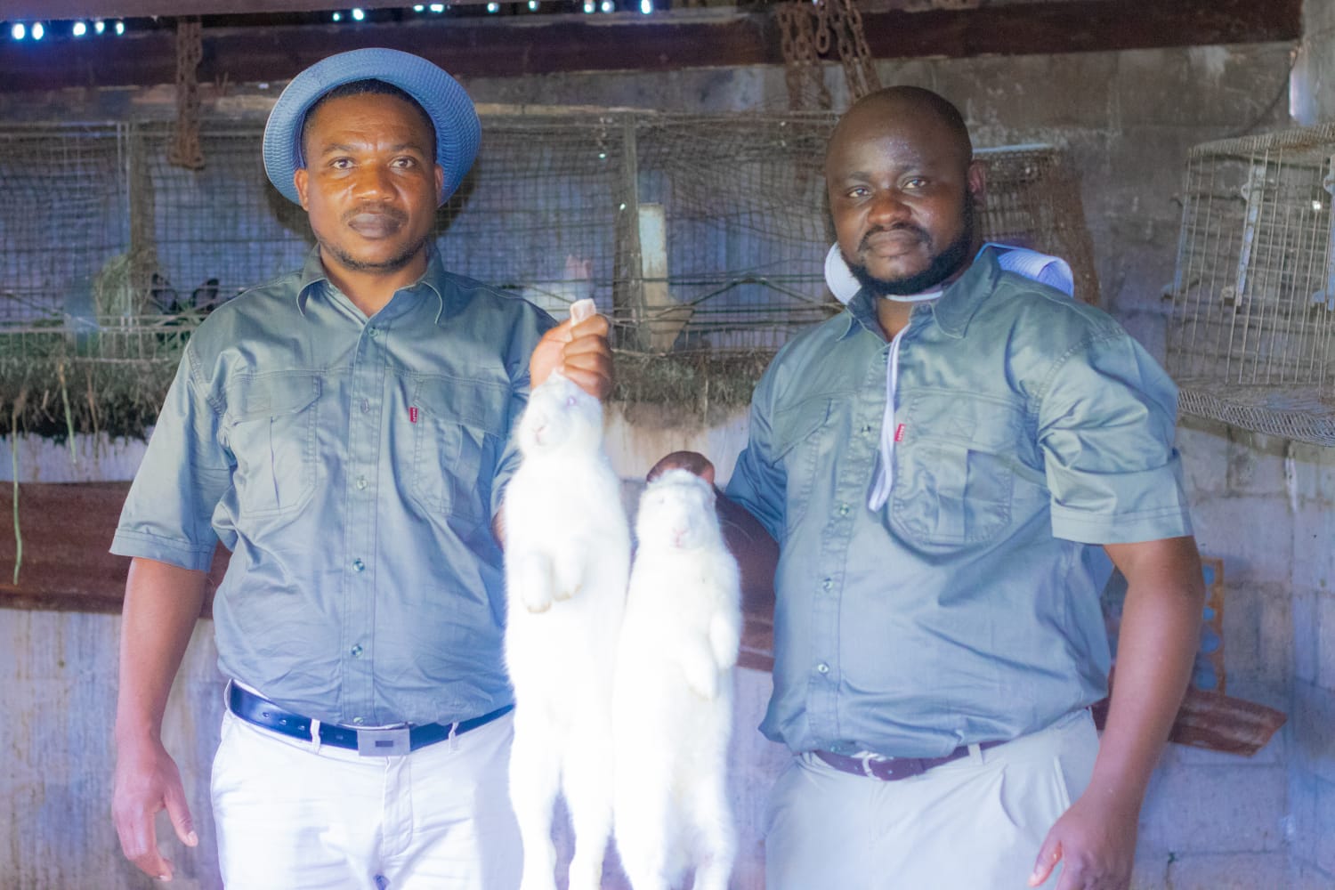 LifeSpring Africa regenerative agriculture and compost projects