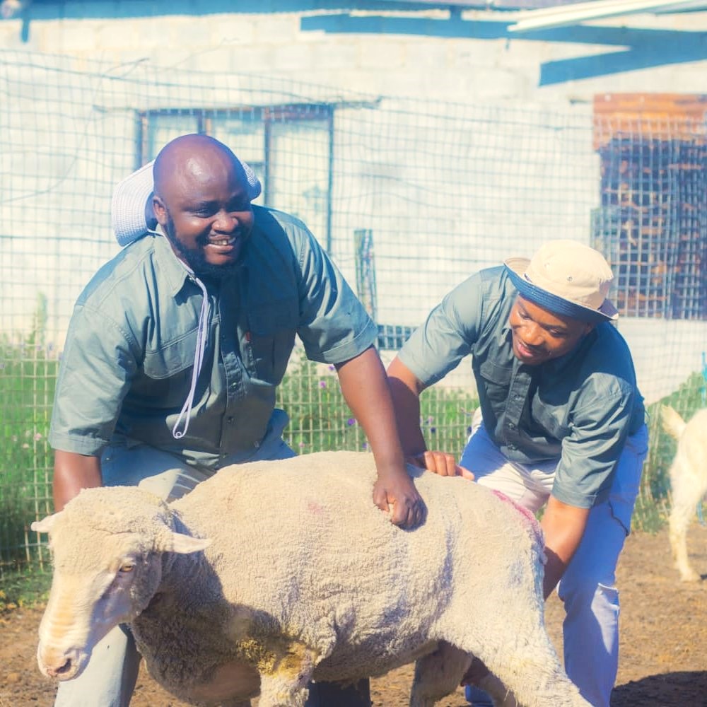 Animal waste and organic residues being processed into value-added products