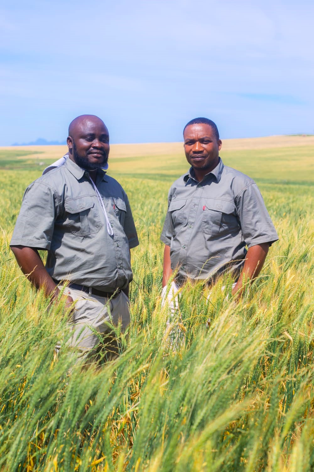 LifeSpring Africa farming and community work